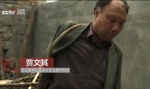 “我奋斗我幸福”：他靠植树感动世界 失去双臂却种出了希望