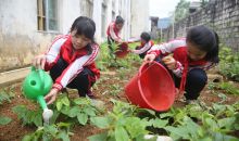 中国青基会“亿滋希望厨房营养健康活力计划”落地广西、湖北 三年惠及万名儿童